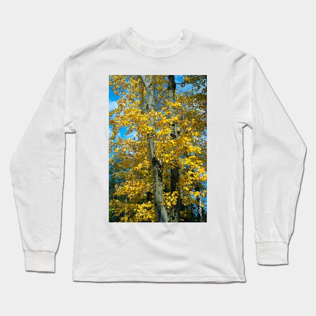 Yellow Maples Long Sleeve T-Shirt by srwdesign